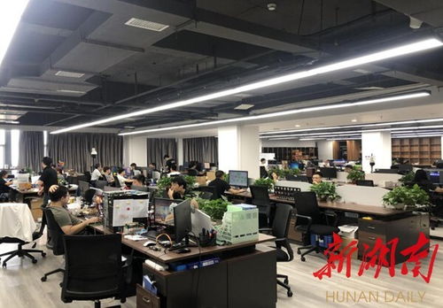 衡陽崛起數(shù)字經(jīng)濟(jì)新高地 物聯(lián)網(wǎng)應(yīng)用服務(wù)驅(qū)動(dòng)城市轉(zhuǎn)型